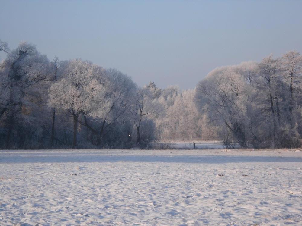 Ferienwohnungen Poettker Bad Zwischenahn Bagian luar foto